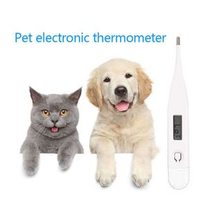 Pet Digital LCD Thermometer