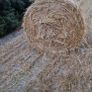 Straw for sale Image 2