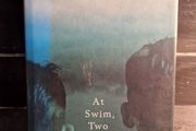 at swim two boys by jamie oneill