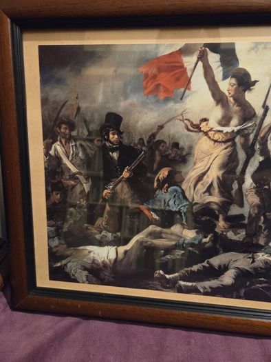 "Liberty Leading the People" Framed print