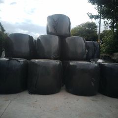Silage Bales