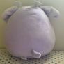 teddy Image 2