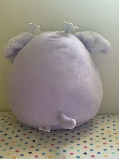 teddy