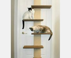 cat climber door