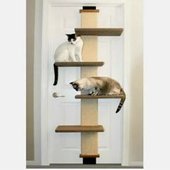 cat climber door