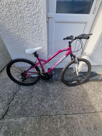 Bicycle in Very Good Condition