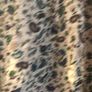 Ladies Blouse Image 2