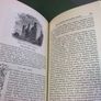 An illustrated history of Ireland from AD 400 to 1800 by Mary Frances Cusack Image 4