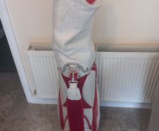Lynx Golf cart bag
