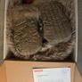 Stokke Winter Kit Image 3