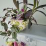 3 Tradescantias in one pot. Trailing house plants. Image 2