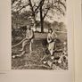 Forest Images. Fr Browne's Woodland Photographs From Emo Court Co Laois. Fabolous FIRST EDITION Large Volume Hardback In Good Condition.  See Photos For Same. Image 7
