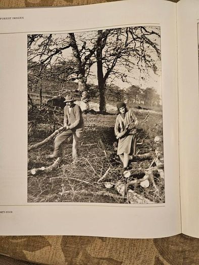 Forest Images. Fr Browne's Woodland Photographs From Emo Court Co Laois. Fabolous FIRST EDITION Large Volume Hardback In Good Condition.  See Photos For Same.