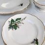 Paragon STAR Fine Bone China - Gypsophila -  Made in England Image 10