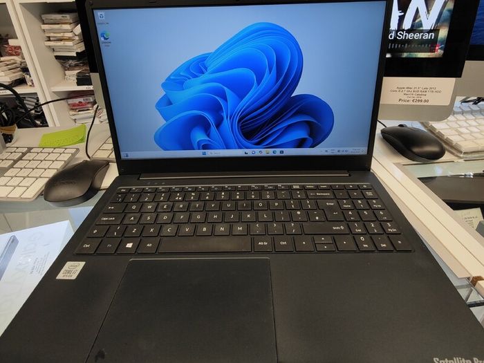 Toshiba Dynabook Satellite Pro C50 Core i7-1065G7 (10th Gen) 16GB 500GB SSD 15.6 Inch FHD Windows 11 Pro Laptop