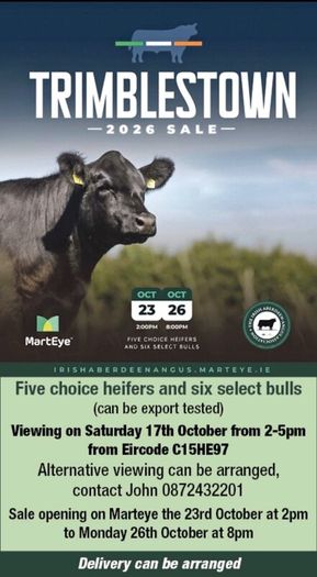 3 select Aberdeen Angus bulls & 2 choice heifers