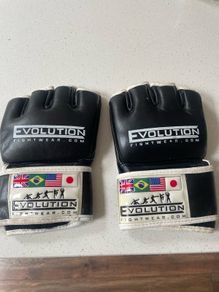 MMA Adult Gloves