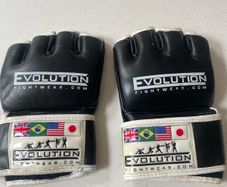 MMA Adult Gloves