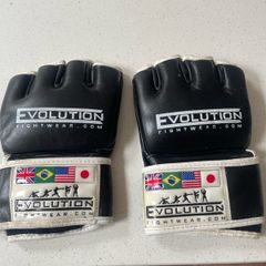 MMA Adult Gloves
