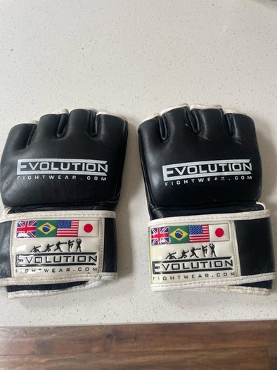 MMA Adult Gloves
