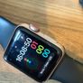 Apple Watch Series 3 - Crack Image 9