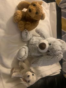 Microwavable teddies