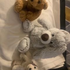 Microwavable teddies