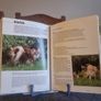 Chihuahua: Dog Breed Expert Series (Hardcover Image 5
