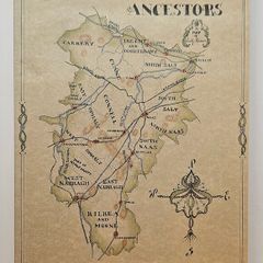 Tracing Your Ancestors in County Kildare - Irish Geneology Book - Irish History Book