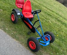 go cart. berg 2 seater