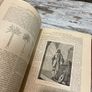 vintage book 1873 yr Image 5