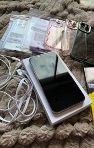 PERFECT Condition iPhone 13 Pro Max and Accessories