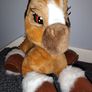 Toffee the pony Image 5