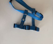 Dukier Dog Harness - medium