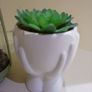 Artificial Succulent Image 2