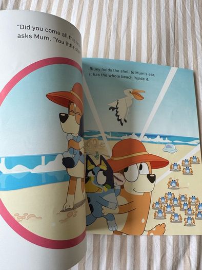 Bluey kids book bundle