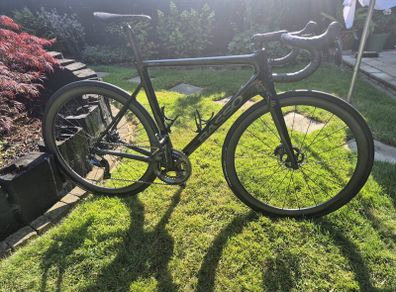 Basso Venta  Carbon Road Bike