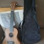 Tanglewood  TW EP3 Ukelele Image 3