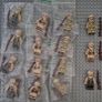 Lego compatible, military figures, German / British / Italian infantry. 15 figures plus rifles. Image 3
