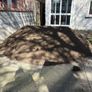 topsoil Image 10