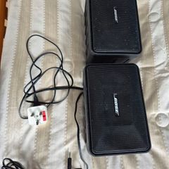 Bose Roommate Buzzing