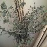 Dried Flowers + Trug & Basket Image 4