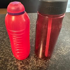 2 pink water bottles - Thermos and Sistema