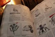 Secret Magic Book + Astrological Bookmark - unique gift