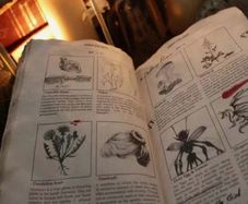 Secret Magic Book + Astrological Bookmark - unique gift