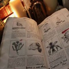 Secret Magic Book + Astrological Bookmark - unique gift