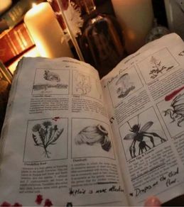 Secret Magic Book + Astrological Bookmark - unique gift