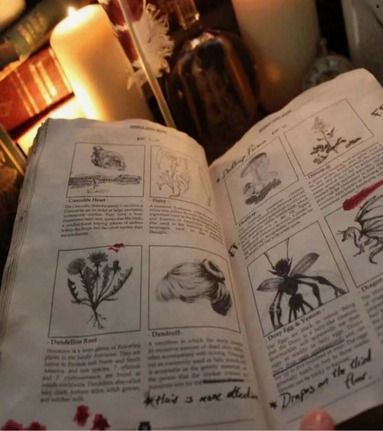 Secret Magic Book