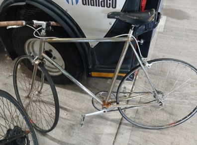 fixie