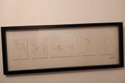 picasso animal study lithographs mounted/framed